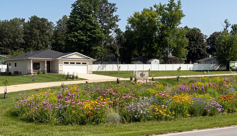 Maple Hills with Wild Flowers Added web